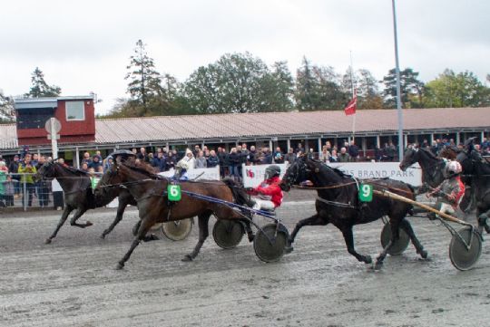 Winnie Jensen i tr�nerligaens Top3