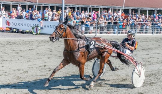 Kamp til det sidste i �rets Sejrshest