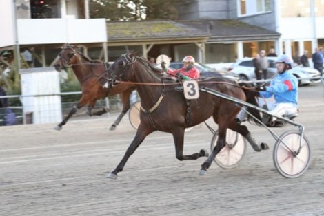 Chokvinder i aftes til Bornholm