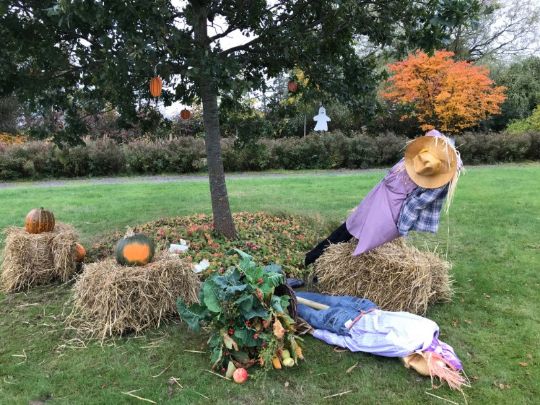 H�rv�rk i parken i �stermarie