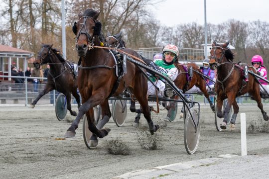 Tre travheste til l�b i hovedstaden