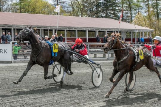 Fejrer 40 �rs f�dselsdag p� travbanen