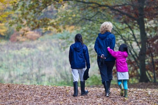 Danmarks dejlige skove