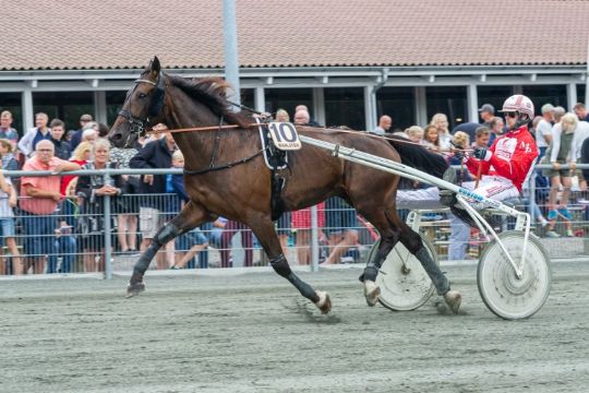 Playboy Face tilmeldt løb i Sverige