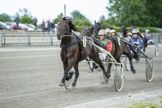 Sempre Avanti chancel�s i Sveriges elitedivision