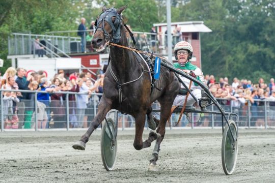 Udskiftning i Winnie Jensens stald
