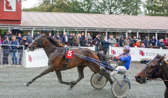 �rets sejrshest jagter penge i Sverige