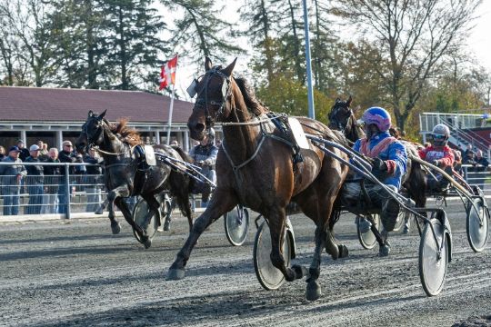 �rets sejrshest bestod i Sverige