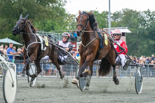 Unghest p� udebane for f�rste gang