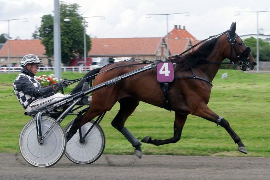 Bornholmere vil k�be derbyfinalist