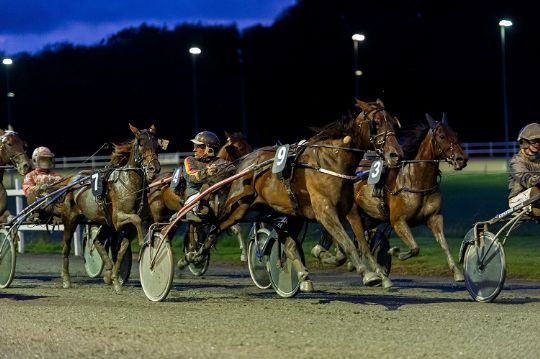 Lind-Holms mest vindende traver forlader Bornholm