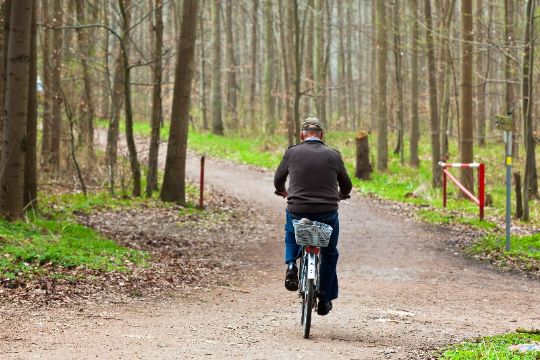 Privat vil k�be kommunalt skovareal