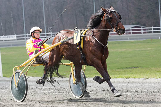 Ole Bager klar med holdet p� travbanen