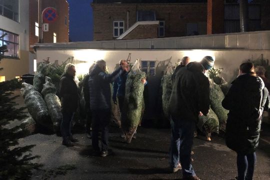 Bank udleverede gratis juletr�er