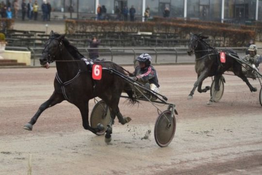 Femteplads til bornholmsk opdr�t p� Fyn