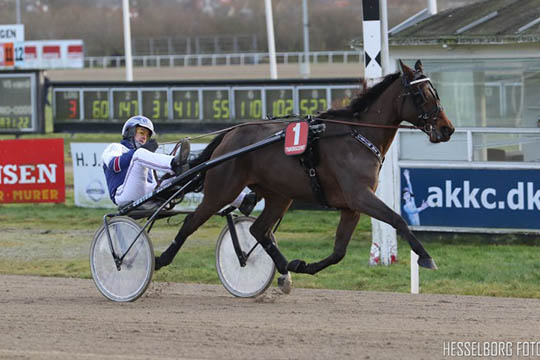 Catch Me Will fik de sidste penge i Nordjylland