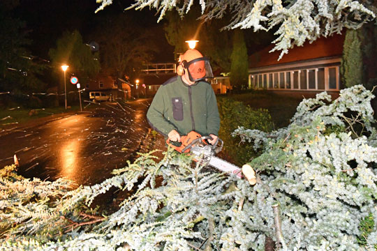 Politiet: V�ltede tr�er flere steder