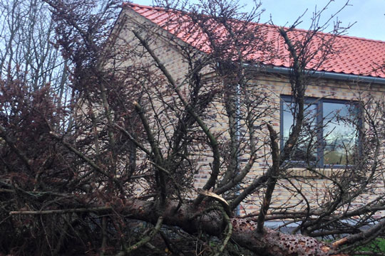 Bl�st gav skader for halv million