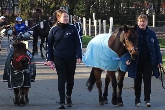 Ponytravere sluttede med man�r