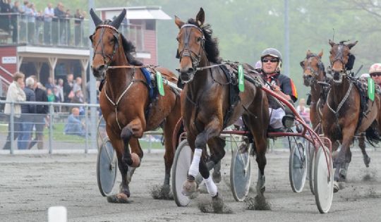 Call Me Baunely tilbage hos Stefan Lind-Holm