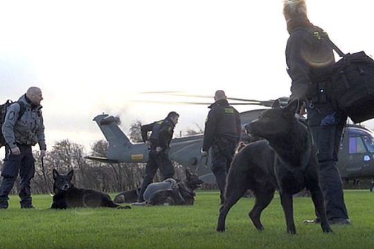 Ekstra politihunde fl�jet ind til efters�gning