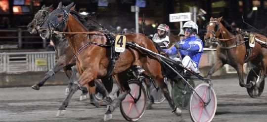 Storl�bsvinder uddannet p� Bornholm