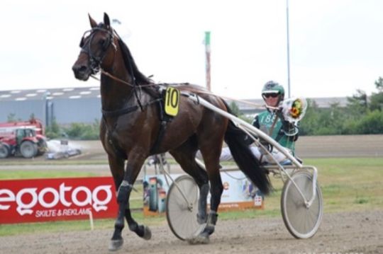 Sejrshest til Bornholm