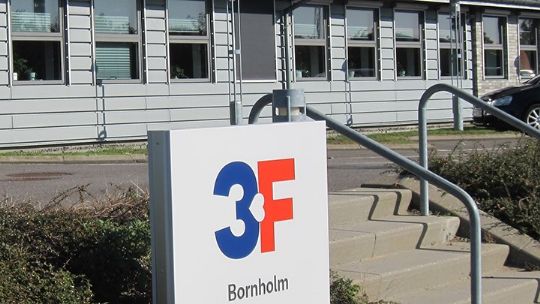 3F med i projekt for nyledige