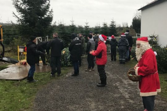 Juletr�et hentet i regn og bl�st