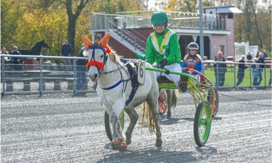 Ponyer og piger strandet i Billund