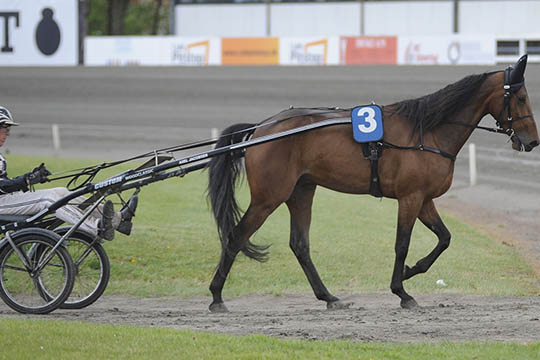 Opk�bere jagter derbypr�mietager