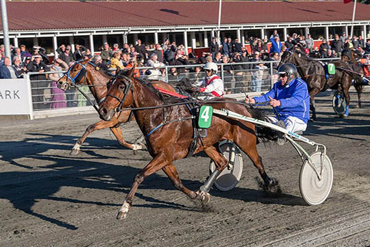 Jesper Riis Nielsen tror p� ny god travs�son