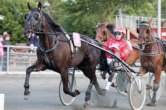 Gommans pr�ver igen lykken p� Lunden