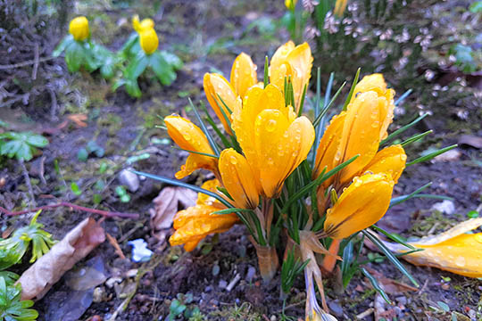 Marts var �rets f�rste m�ned