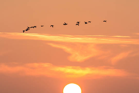 Med �sommertiden� kommer de lyse aftener