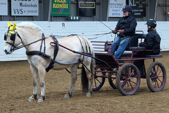 K�reselskab fejrer jubil�um