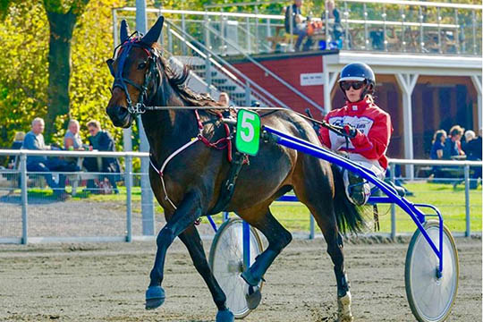 Travpige g�r f�rste start udenfor �en