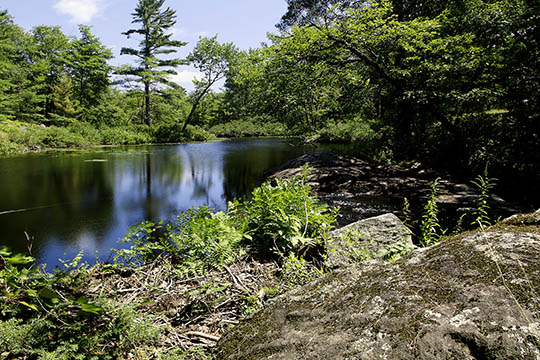 Navngivning af s� ved Sorthat-Muleby