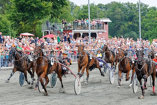 Travselskabet udbetalte st�rre pr�mier