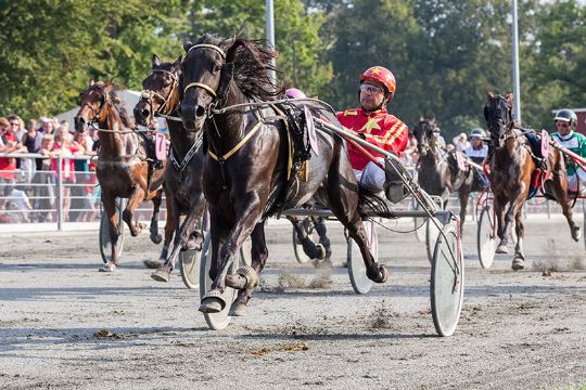 Sejrshoppes f�rste afkom ligner sin mor