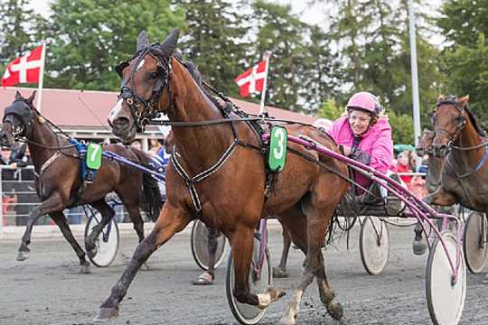 Ny travhest k�bt til Bornholm