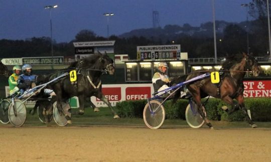 Bornholmeropdr�t var chancel�s i Sverige