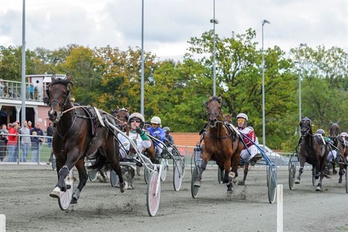 Dobbelt BM-vinder g�ster �en til travpremiere