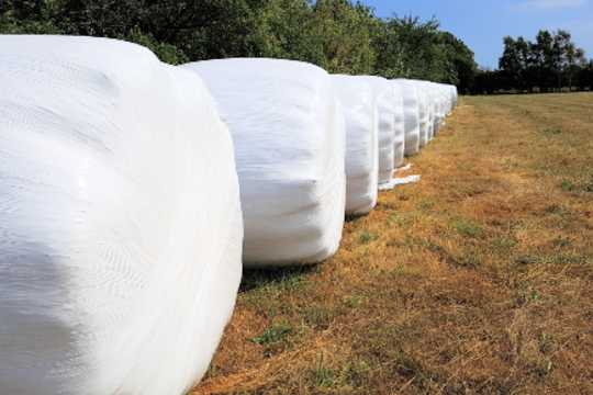 Stor b�de for uforsvarlig h�transport