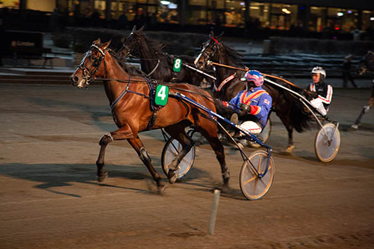 M�ngder med bornholmerchancer i hovedstaden