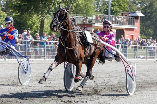 Ny travhest til Bornholm i aften