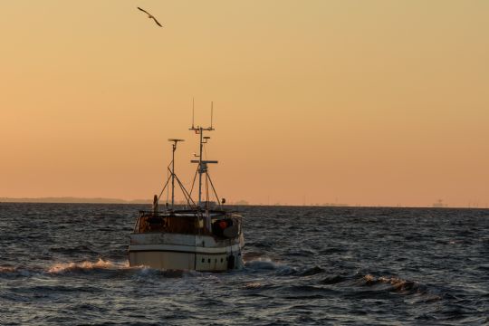 Fiskekutter udl�ste oliealarm