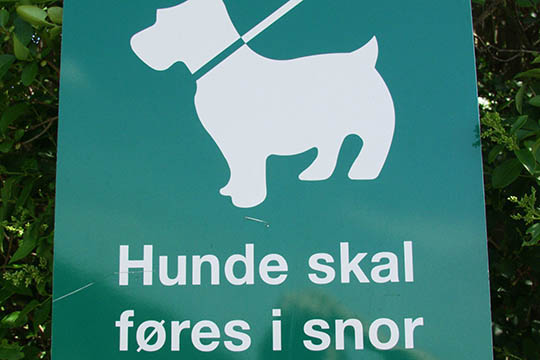 Hundeejer tiltalt efter angreb