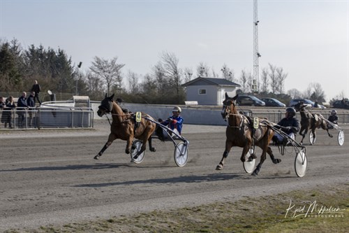 Bornholmeropdr�t til tops i Billund