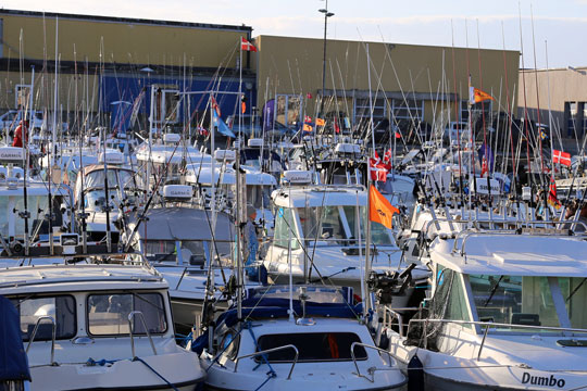 Fiskekonkurrence kr�ver mere kajplads